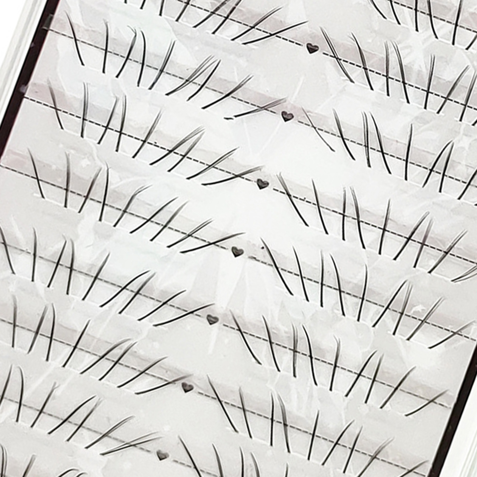 Cílios inferiores naturais em  - Eyelash Extension Cat Eye avaliação e preço